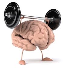 1-cerebro