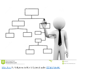 organigrama